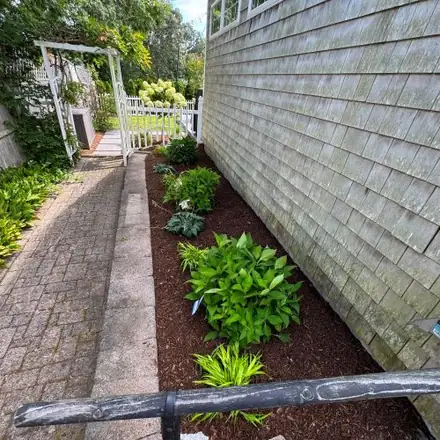 Paver path with hostas and fresh mulch