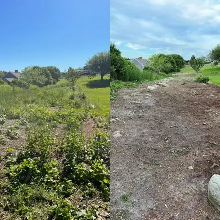 Overgrown yard cleared before and after