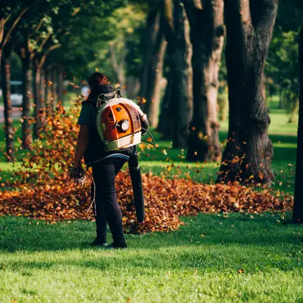 Landscaper clearing fall leaves with a backpack blower