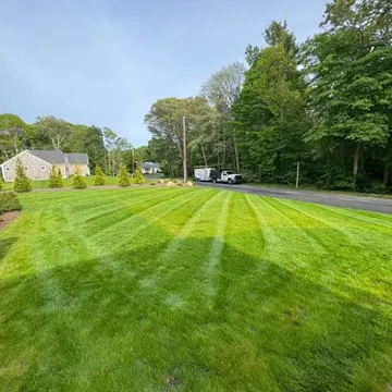 Freshly mowed striped lawn